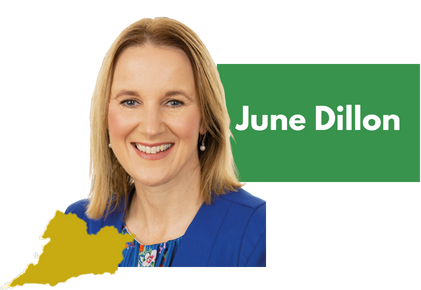 Dillon – Dumped mattresses should act as a wake up call on illegal dumping