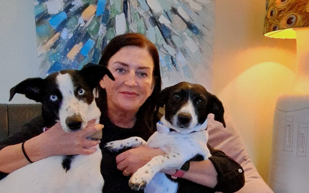 ABUSED, STARVED AND TIED UP, YET NO RESOURCES FOR DEDICATED ANIMAL WELFARE UNIT FOR LIMERICK – Cllr Beasley