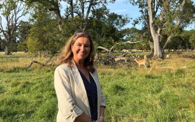 GANGS OF YOUTHS ON SCRAMBLERS TERRORISING PEOPLE AND WILDLIFE IN PHOENIX PARK