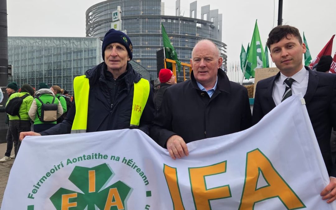 Farm Fertiliser Costs Should be Subsidised by Government During Inflation Crisis – Lawless