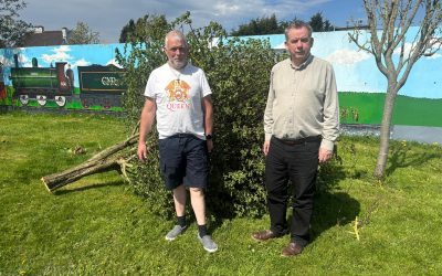 Investigation called for into chopping down of Hawthorn trees – O’Dowd